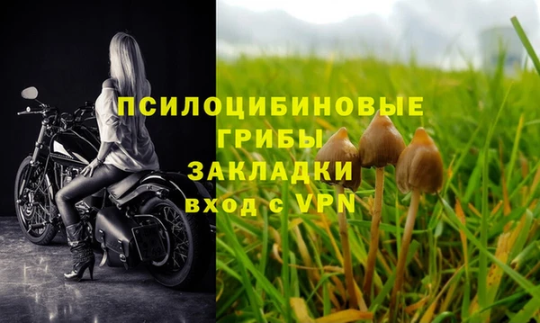 ALPHA-PVP Беломорск