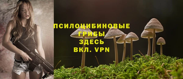 дурь Белоозёрский