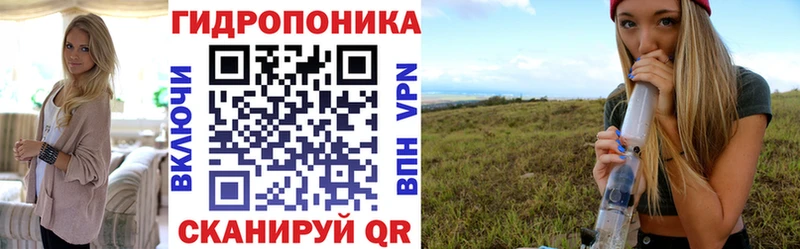 Конопля конопля Макаров